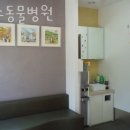 진스동물병원 네이버블로그