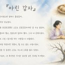 아린 감자 / 이규석 이미지
