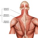 우리스포츠교육 | 스포츠마사지 후기｜스포츠마사지교육 받아보고 싶다면 이 부분 꼭 체크해야합니다.