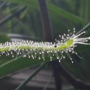 큰집농장 이미지