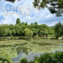 싱그러운 여름 플로리스트(5월) | 오산 물향기수목원 싱그러운 여름 풍경 보며 걷기좋은곳