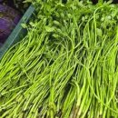 빛나농장 이미지