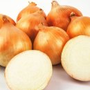 고창 다온 이미지