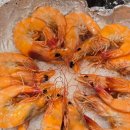 속초바다야 | 사당역횟집 [속초바다야] 생새우 소금구이 후기