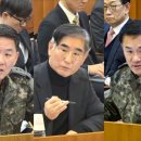 이진우 카카오 검색결과