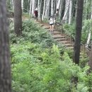 자작나무쉼터 이미지