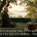 고요한 리더: 명상이 경영자의 뇌를 다시 설계하는 법