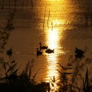 니랑나랑 이미지