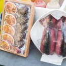 생생새우 이미지