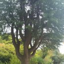 팔룡초등학교 이미지