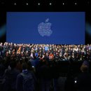 애플시스템 이미지