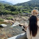 고목가든펜션 이미지