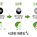 세이지약국 이미지