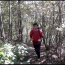 광덕3로5 이미지