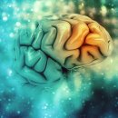 화타한의원 이미지