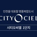 싸이버씨티 네이버블로그