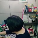 쁘띠쟈르당 - 북구 | 쁘띠쟈르당