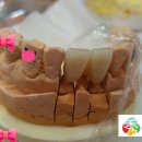 화이트수치과의원 이미지