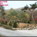 상대리[동] 네이버블로그