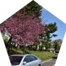 발한공원 이미지