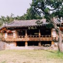 삼괴정 Daum카페