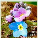 설렘 이미지