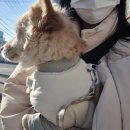 그릿죽전점 이미지