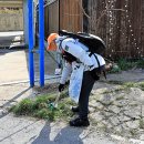 소금뱃길 이미지