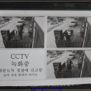 빈스인가배몽