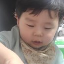 도미노피자고강원종점 이미지