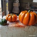 파프리카 조형물 이미지