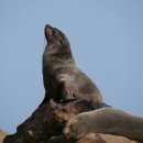 Serenity a 이미지