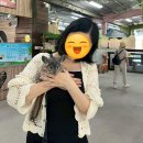 해돋이2농장 네이버블로그