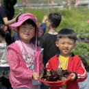 자연아 놀자 이미지