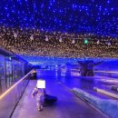 [울산] &#39;피터스원 키즈파크&#39; = 실내 얼음썰매+스케이트+무료 오락 가능한 테마파크!