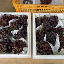 금강3농장 이미지