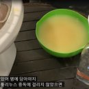 푸르누