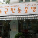 포근한동물병원 이미지