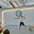 국가대표차오름태권도장 이미지