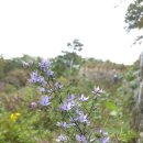 풀 - 전주시 완산구 홍산남로 83-19 | 풀