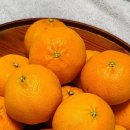 브리지팜 이미지