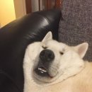 별나라 PC방 이미지