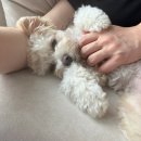 UR(김해시)-[삼안로]-하-11 | 25년 10월 일상, 출산 전까지