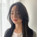 벌스헤어 이미지