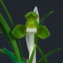 수천농장 이미지