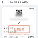 티머니포항버스