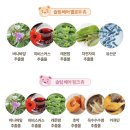 츄 | [다이어트 공구템] 🐻슬림베어츄🐻 내돈내산 후기💸
