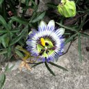 꽃소아청소년과의원 이미지