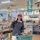 자유마트 | 대마도 여행 쇼핑리스트 밸류마트 대마도 자유여행 당일치기 후기