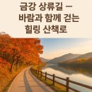 전라도인삼튀김 | 🌿 오늘은 금산으로 떠나볼까요